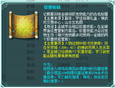 神武坐骑日常和pk选择哪个（神武坐骑技能培养攻略）