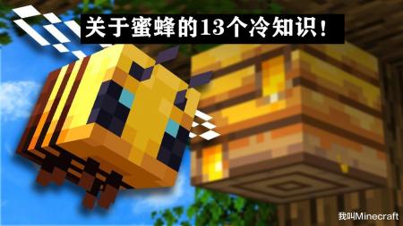 我的世界蜜蜂怎么取蜜（Minecraft蜜蜂养殖指南）