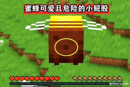 我的世界蜜蜂怎么取蜜（Minecraft蜜蜂养殖指南）