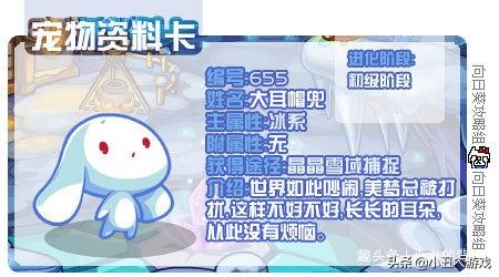 洛克王国雪影娃娃超进化怎么弄（洛克王国雪影娃娃技能配置）