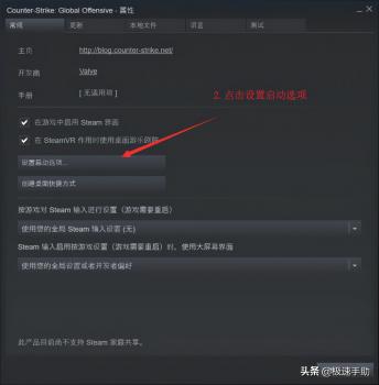 csgo服启动项（反恐精英服启动项设置教学）