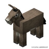 我的世界马吃什么（Minecraft马和驴生物介绍）