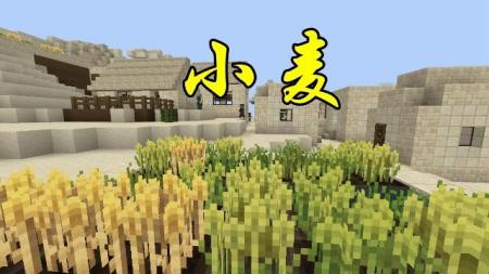 minecraft燧石有什么作用（我的世界被忽略的一些材料介绍）